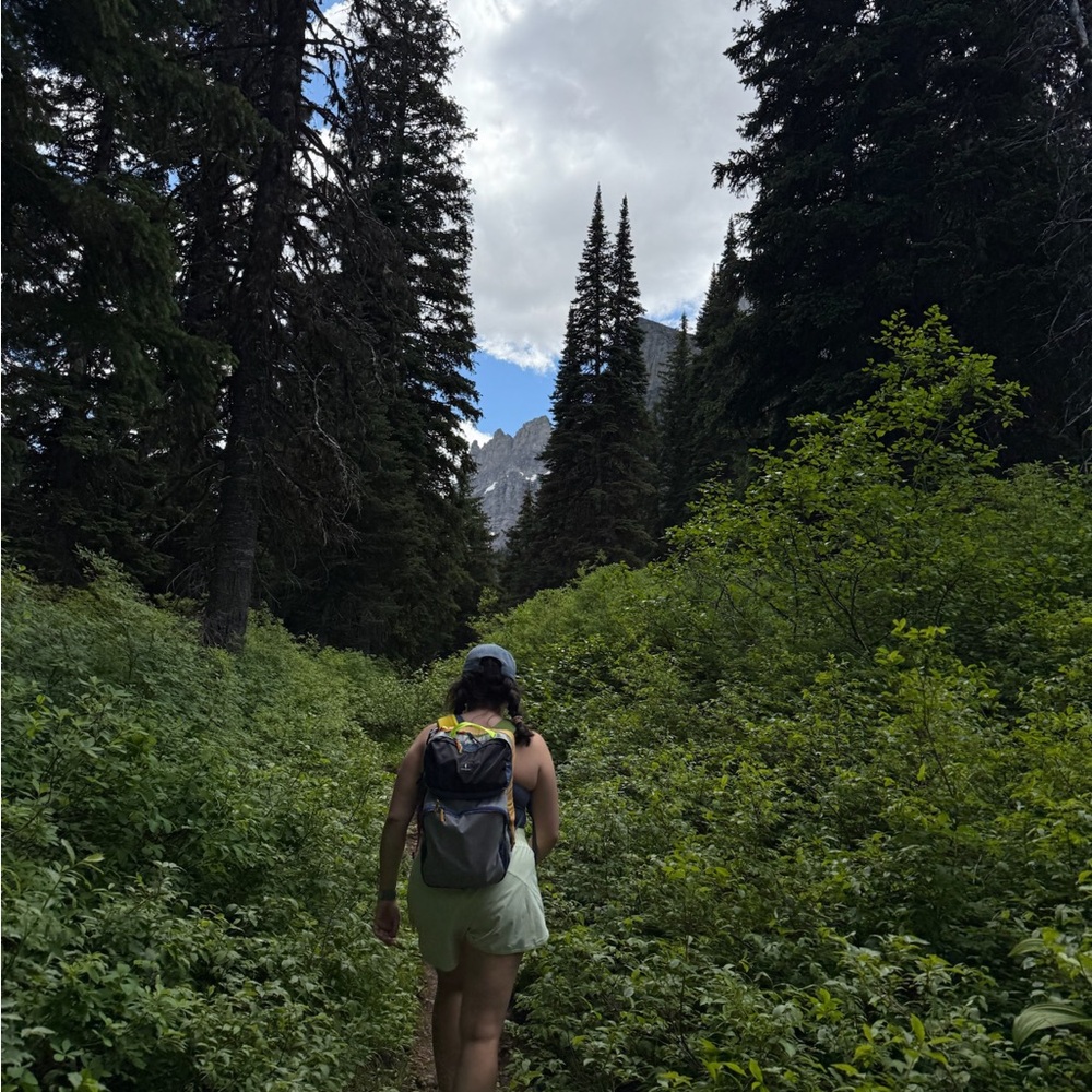 Meet your Posher, Erin